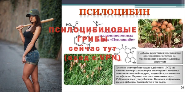 соль ск Пестово