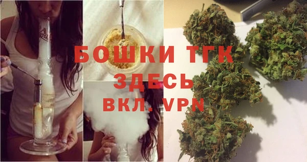 ECSTASY Пересвет