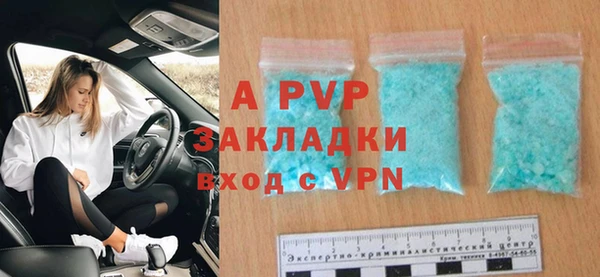 ECSTASY Пересвет