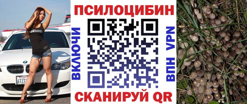 где найти наркотики  Севск  Псилоцибиновые грибы Magic Shrooms 